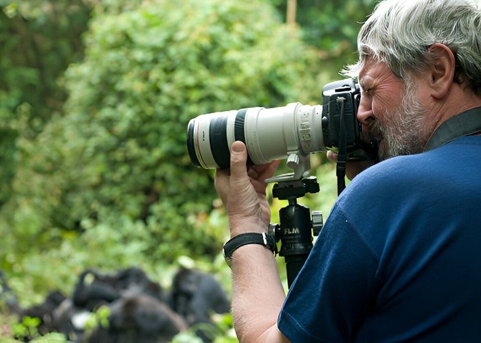 photography gorilla cover