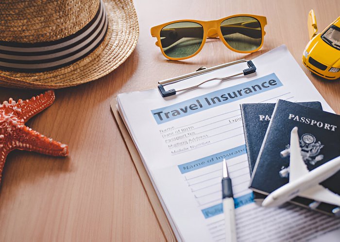 travel documents cover
