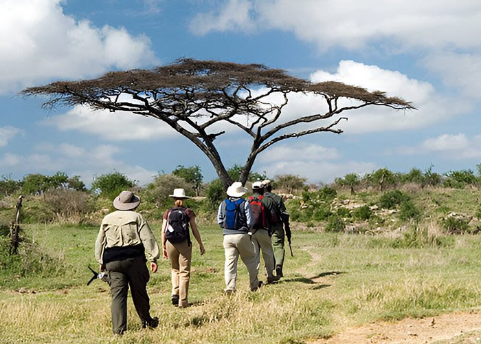 walking safari cover