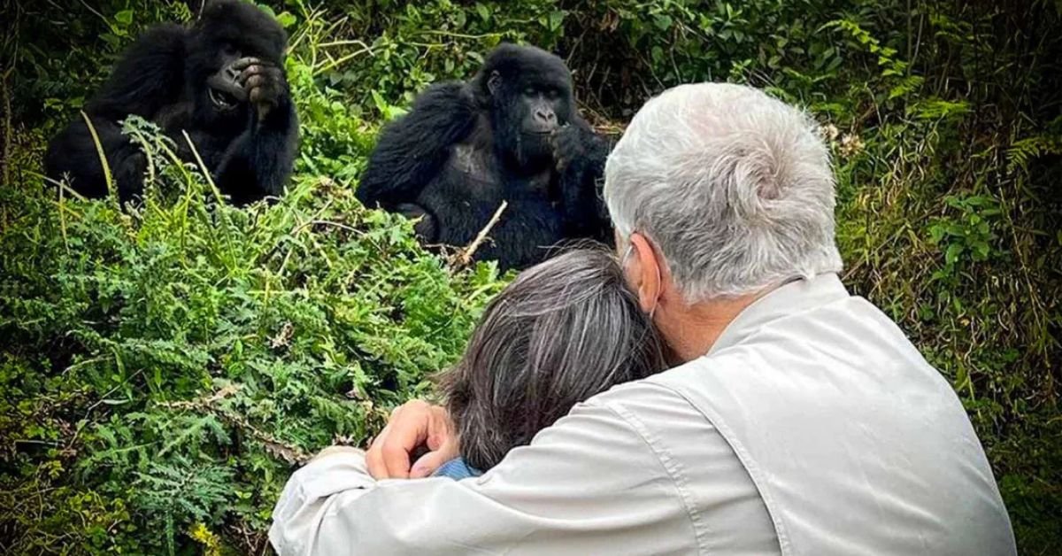 How Fit Do You Need to Be for Uganda Gorilla Trekking?