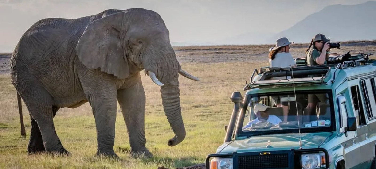 Best uganda travel packages