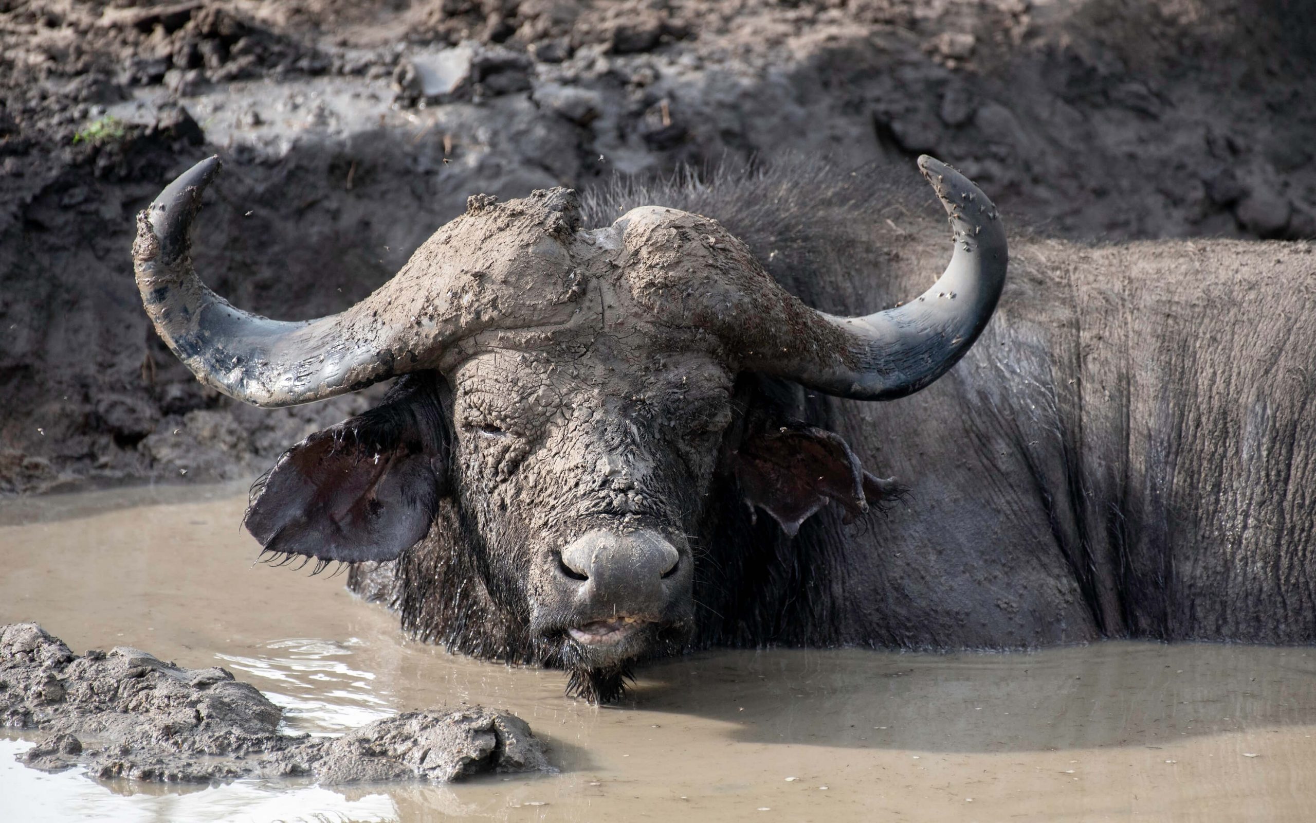 Lake Mburo National Park